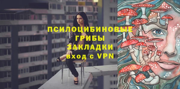 spice Бугульма