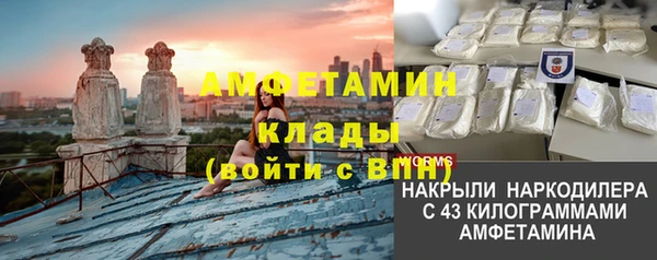 МДПВ Аша