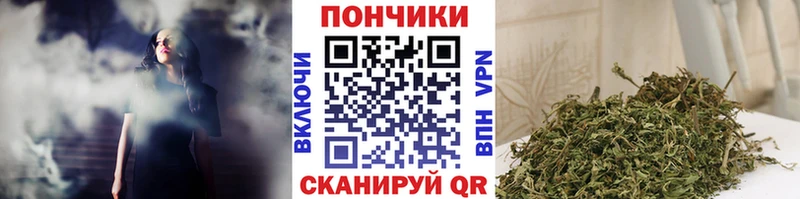 Каннабис ГИДРОПОН  Лодейное Поле 